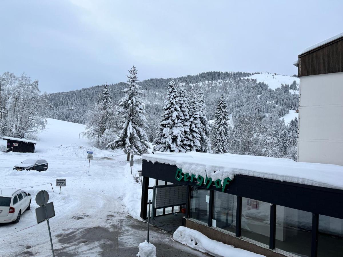 Alpen Studio Ellmau II Dış mekan fotoğraf