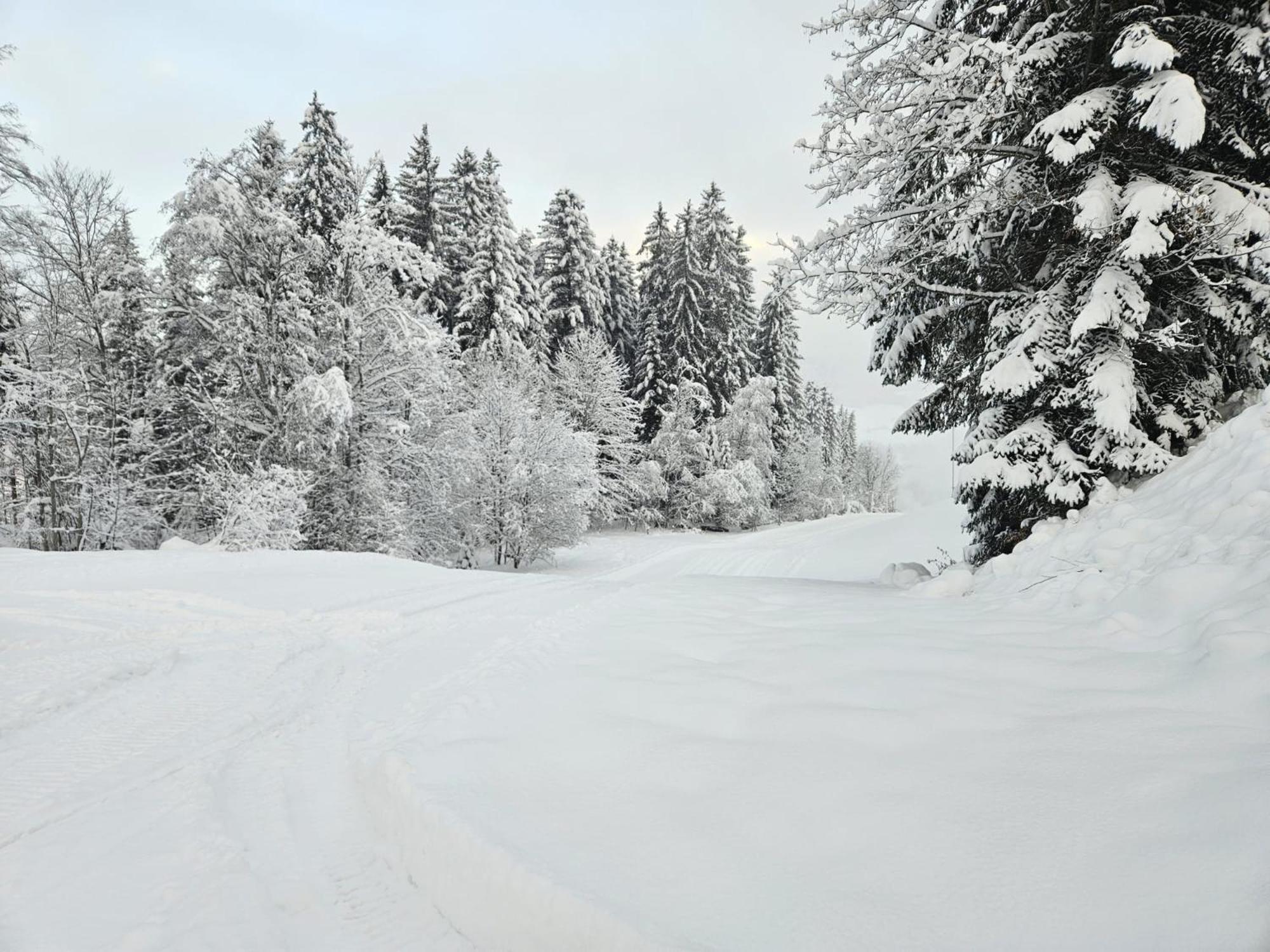 Alpen Studio Ellmau II Dış mekan fotoğraf