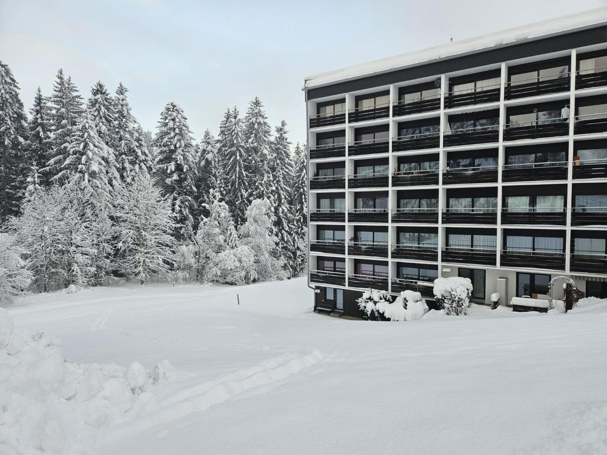 Alpen Studio Ellmau II Dış mekan fotoğraf